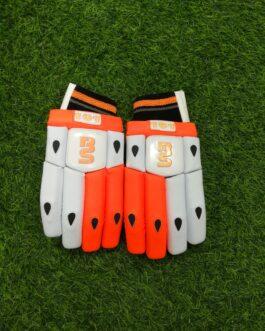 BS 101 Batting Gloves